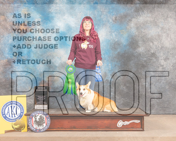Pembroke Welsh Corgi #R9 Fri RHC-MMJ_7294-FW2022-HR3