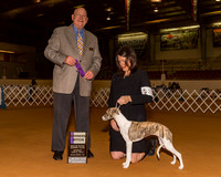 Whippets #28 Sun WB Martin Lisa Rick Judge Mr Gary L Doerge