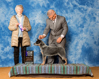 Australian Cattle Dogs #54 Sun Maj WB Fontenot Sally Judge Mrs Sharon Newcomb
