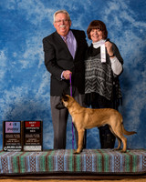 Belgian Malinois #18 Sun 4 6 Puppy BOS Milton Claude L Judge Ms Marilyn M OCuilinn