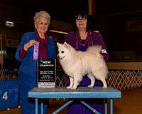 American Eskimo Dogs #12 Sun NC Wood Jane Judge Mrs Ann D Hearn