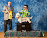 Dandie Dinmont Terriers #5 Sun G3 Bale P Judge Mr Gary L Doerge