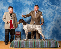 Pointers German Shorthaired #17 Sun G2 Corcoran Kelli Judge Mr Del Richards