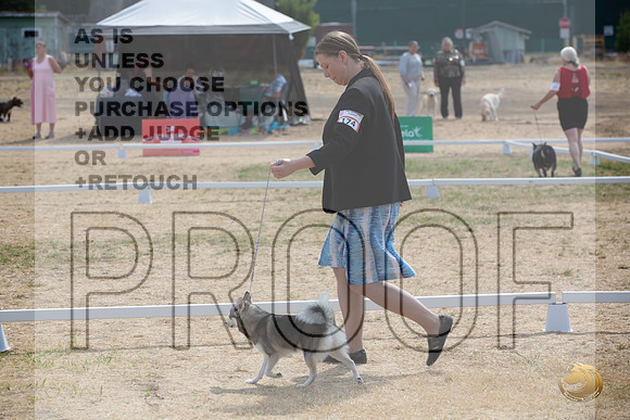 Ringside Longview WA 2024 Alaska Klee Kai #174_JJL_3538_Longview WA_2024_HR3