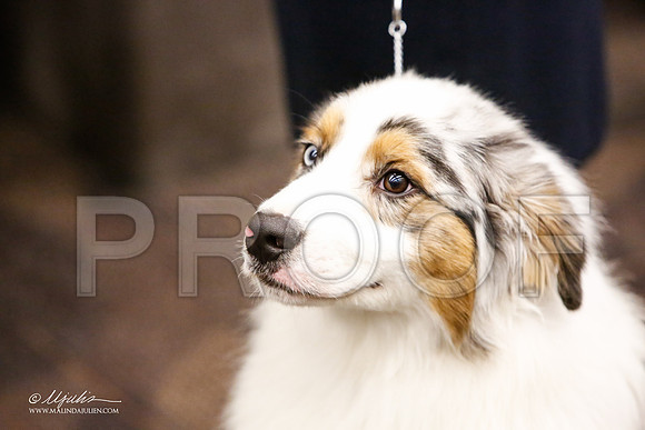 _JJ_1675-FWKCMar2015-HR3
