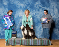 Tibetan Terrier #10 Sun G1 Demers Mikki & Lois DeMers & Dina Planche Agent Lois DeMers Judge MRS DONNELTE RICHARDS