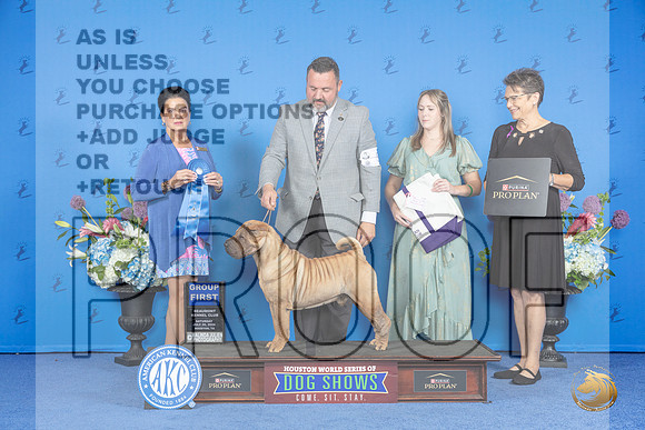 Chinese Shar Pei #5 SAT G1 Judge Douglas Freeman__JP_0007_Houston_2024_HR3