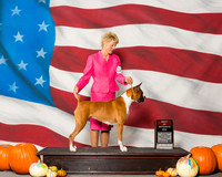 Boxers #20 Sun BOS Carbine Donna Bonnie Wagaman Judge Mr Ralph J Ambrosio