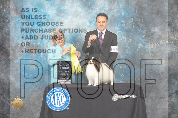 Papillon #40 Sun G3 Judge Carol Pyrkosz_MJ_0512_HstnTOY_2022_HR3