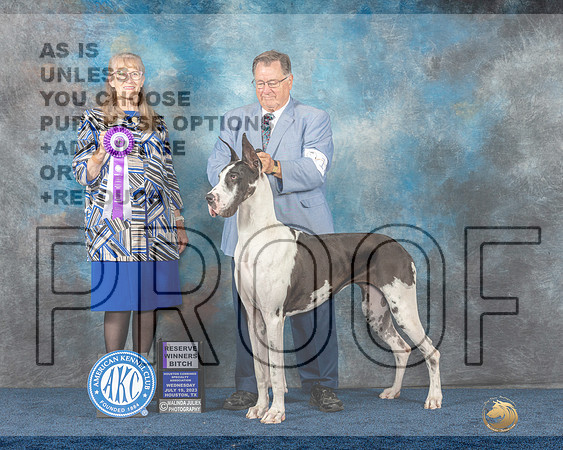 Great Dane #12 Wed RW Judge Simmons-MJP_0900_HSTN2023-HR3