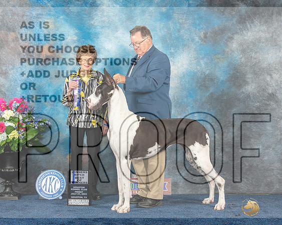 Great Dane #12 Fri WBBOW Judge Pat Trotter-MJP_4391_HSTN2023-HR3