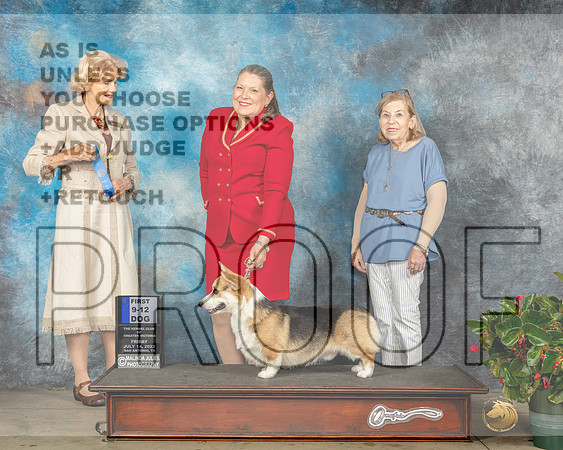 Pembroke Welsh Corgi #5 Fri 9-12 1st Judge Patti Widick Neale-MJP_7793e_SA_2023-HR3
