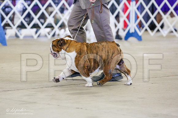 _RH_9538-AlamogordoOct2014-HR3