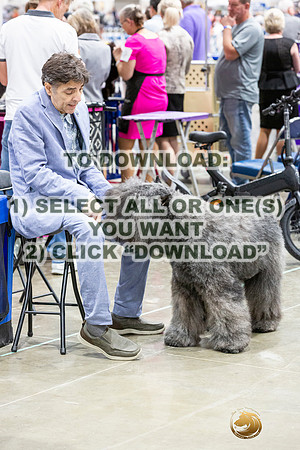 Bouvier Greg Reyna-JJL_2287_HSTN2023-HR3