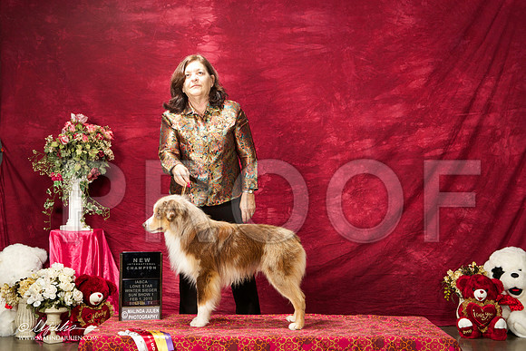 _ST_2889-BeltonJan2015IABCA-HR3