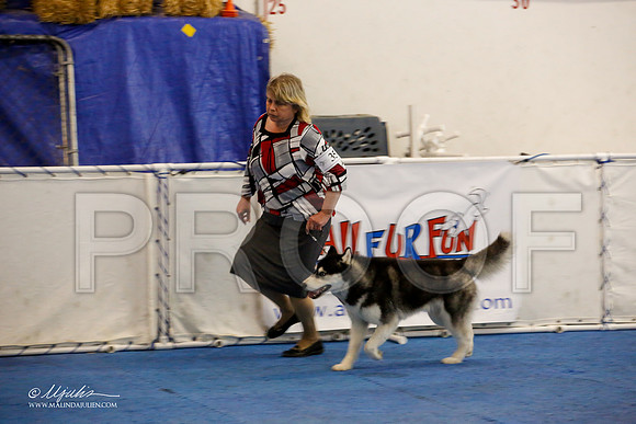 _M3_0185-AddisonHuskyMar2015-HR3