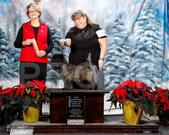 _ST_8116-2-DallasDec2014-HR3