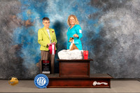 Italian Greyhound #14 WED BOS Judge Donna Buxton