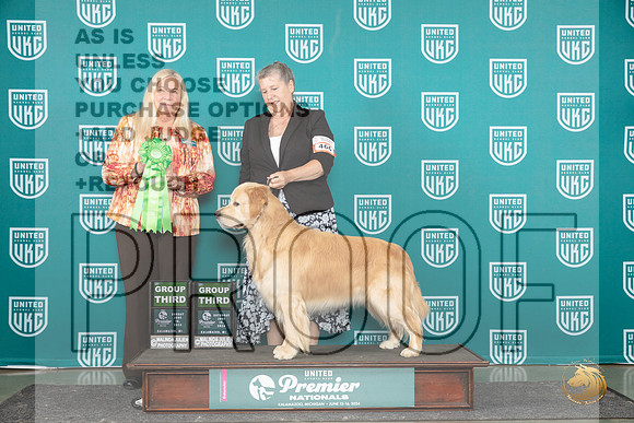 Golden Retriever #466 Sat G3 Stan Sun G3 Kathie Short__JP_3427_Premier_2024_HR3