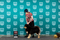Finish Lapphund #236 Sat G2 Judge Deb Allen r
