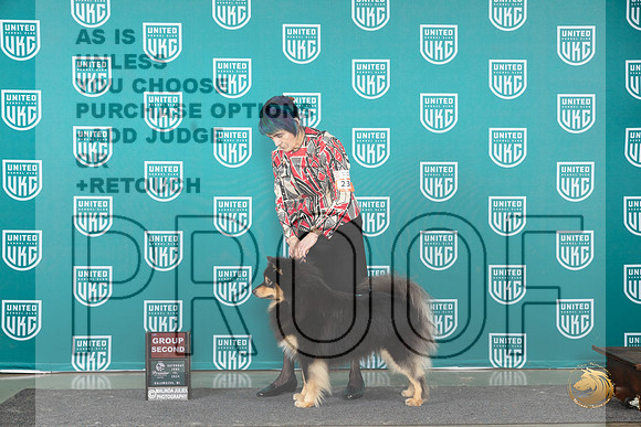 Finish Lapphund #236 Sat G2 Judge Deb Allen r__JP_2815_Premier_2024_HR3