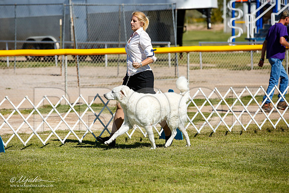 _JJ_0037-AlamogordoOct2014-HR3