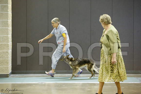 _J3L1942-BeltSep2014-HR