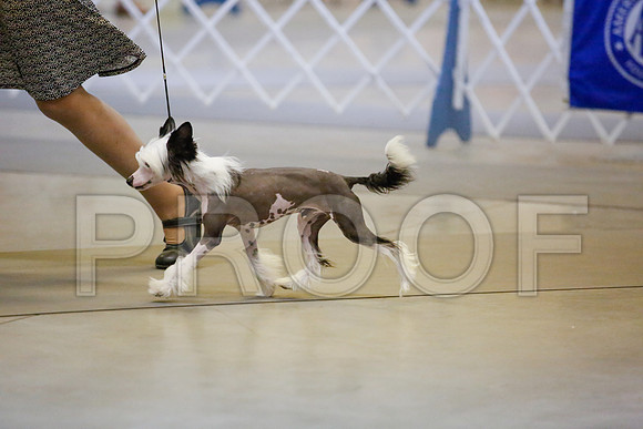 _JJ_9032-AmarilloSept2014-HR3