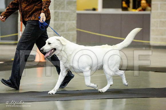 _RH_1123-BeltonJan2015IABCA-HR3