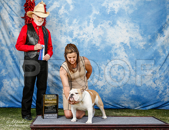 _ST_3144-2-AlamogordoOct2014-HR3