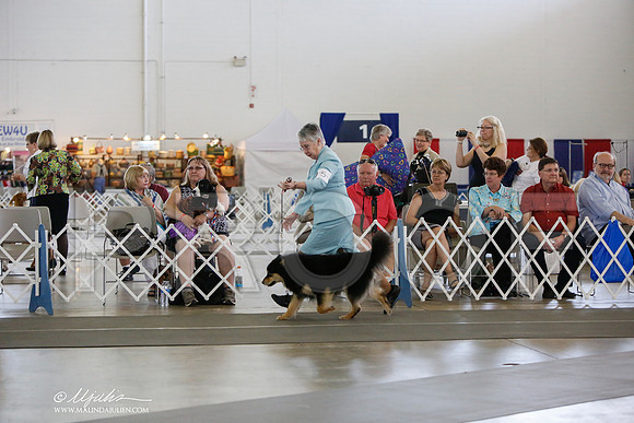 _JJ_2961-DallasJul2014-HR3
