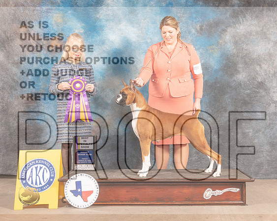 Boxer #44 Fri BISS Judge Vicky Seller Cushman-MMJ_7148-FW2022-HR3