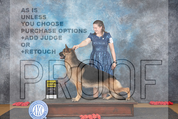 German Shepherd #5 Sun G3 Judge Beth Downey__JP_0808_Sulphur Springs_2024_HR3