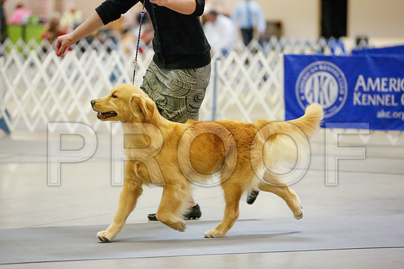 _JJ_7096-AmarilloSept2014-HR3