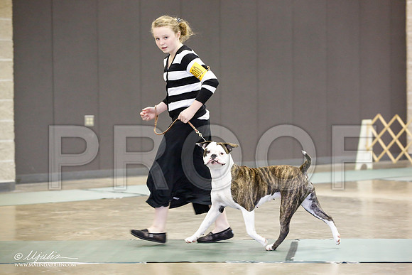 _JN_1302-BeltonJan2015-HR3