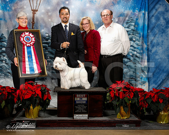 _ST_8396-2-DallasDec2014-HR3