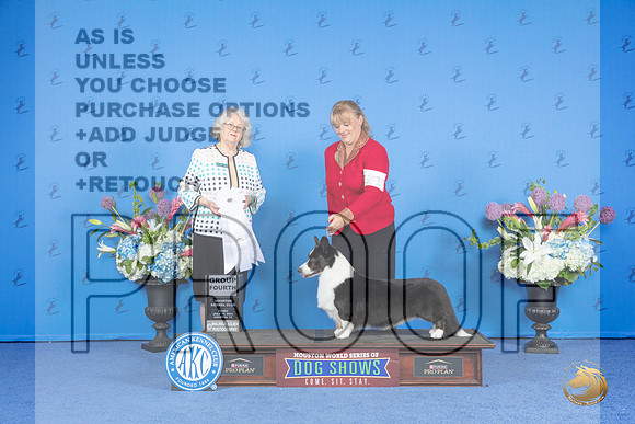 Cardigan Welsh Corgi #21 FRI G4 Judge Annella Cooper__JP_9597_Houston_2024_HR3