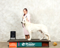 White Shepherd #1212 Thur AOE Judge Sandra Sproull Kowalski