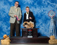 Pekingese #10 Fri BOS Skinner Colleen & Roma Skinner Judge Mr James G Reynolds