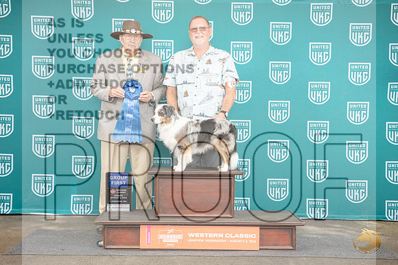 Minature American Shepherd #245 Sun BOB G1 Judge Alan Krenek__JP_1731_Longview WA_2024_HR3