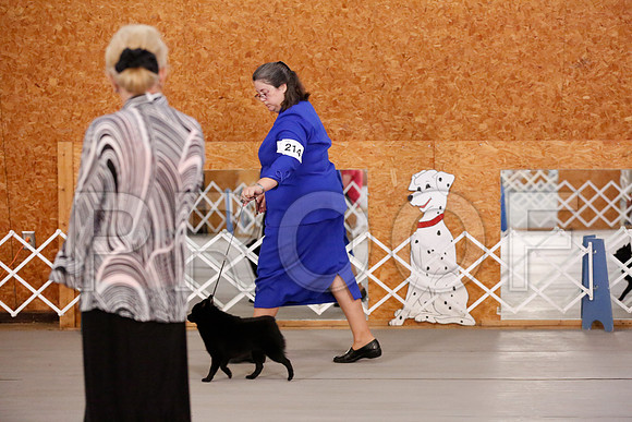 _RH_8388-CarlrolltonSept2014-HR3