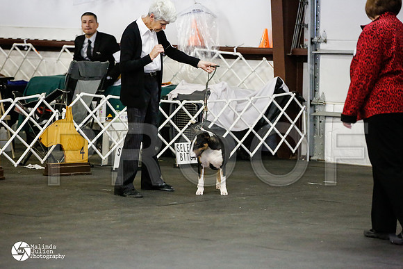 _J1_1731-2-AzleMar14-HR