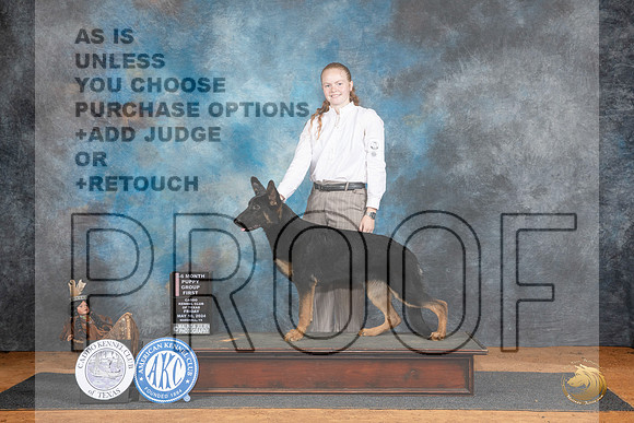German Shepherd Dog #6 Fri PG1 Judge Robert Stein__JP_7165_MARSHALL_2024_HR3