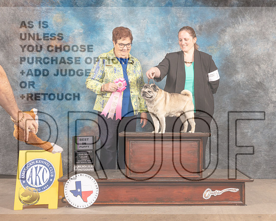 Pug #15 Fri BVet Judge Pam Peat-MMJ_7125-FW2022-HR3