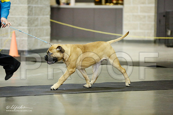 _RH_1536-BeltonJan2015IABCA-HR3