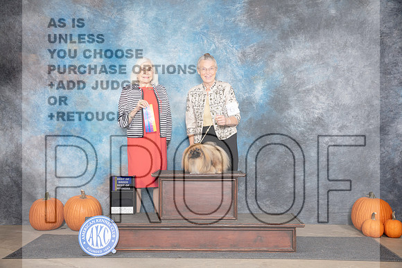 Pekingese #6 Fri BOBBOWWB Judge Jan Paulk__JP_9070_Humble_2024_HR3