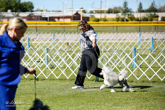 _JN_9423-AlamogordoOct2014-HR3