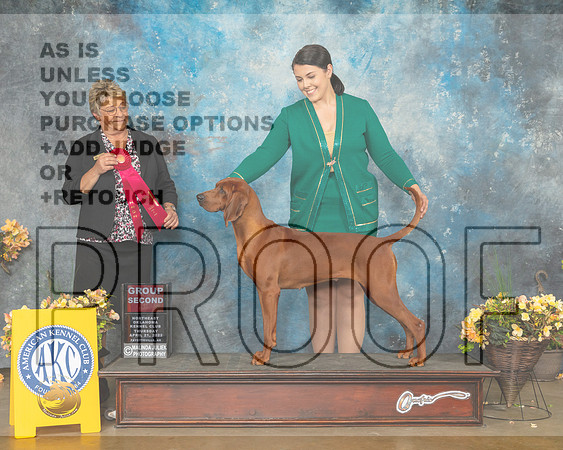 Redbone Coonhound #6 Thur G2 Judge Cathy Daugherty-MMJ_8994-NWARK2022-HR3