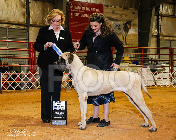 _RH_8991-2-GlenRoseJan2015-HR3