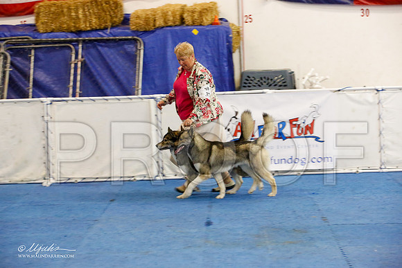 _M3_1650-AddisonHuskyMar2015-HR3